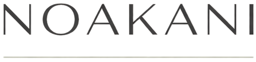 Residential and Commercial Cleaning – NOAKANI