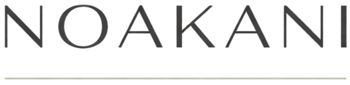 Residential and Commercial Cleaning – NOAKANI